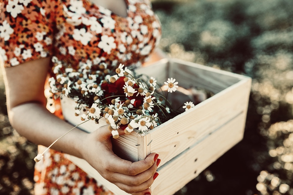 Le pouvoir des plantes et de la nature…