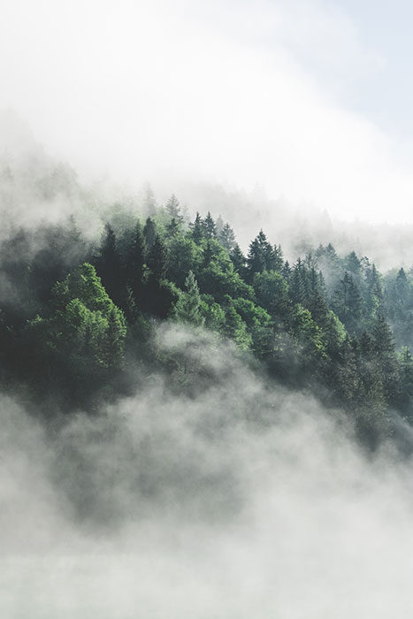 Sortir du brouillard montagne